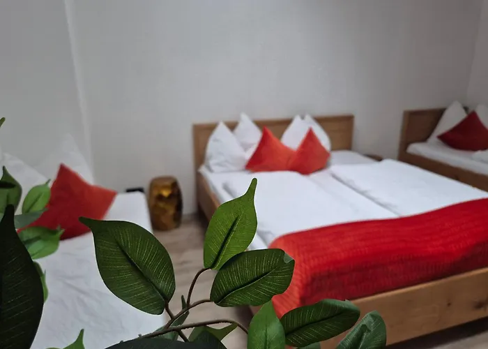 아파트 Adler 골링안데살자흐